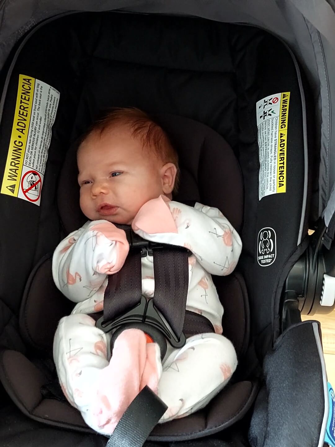image11