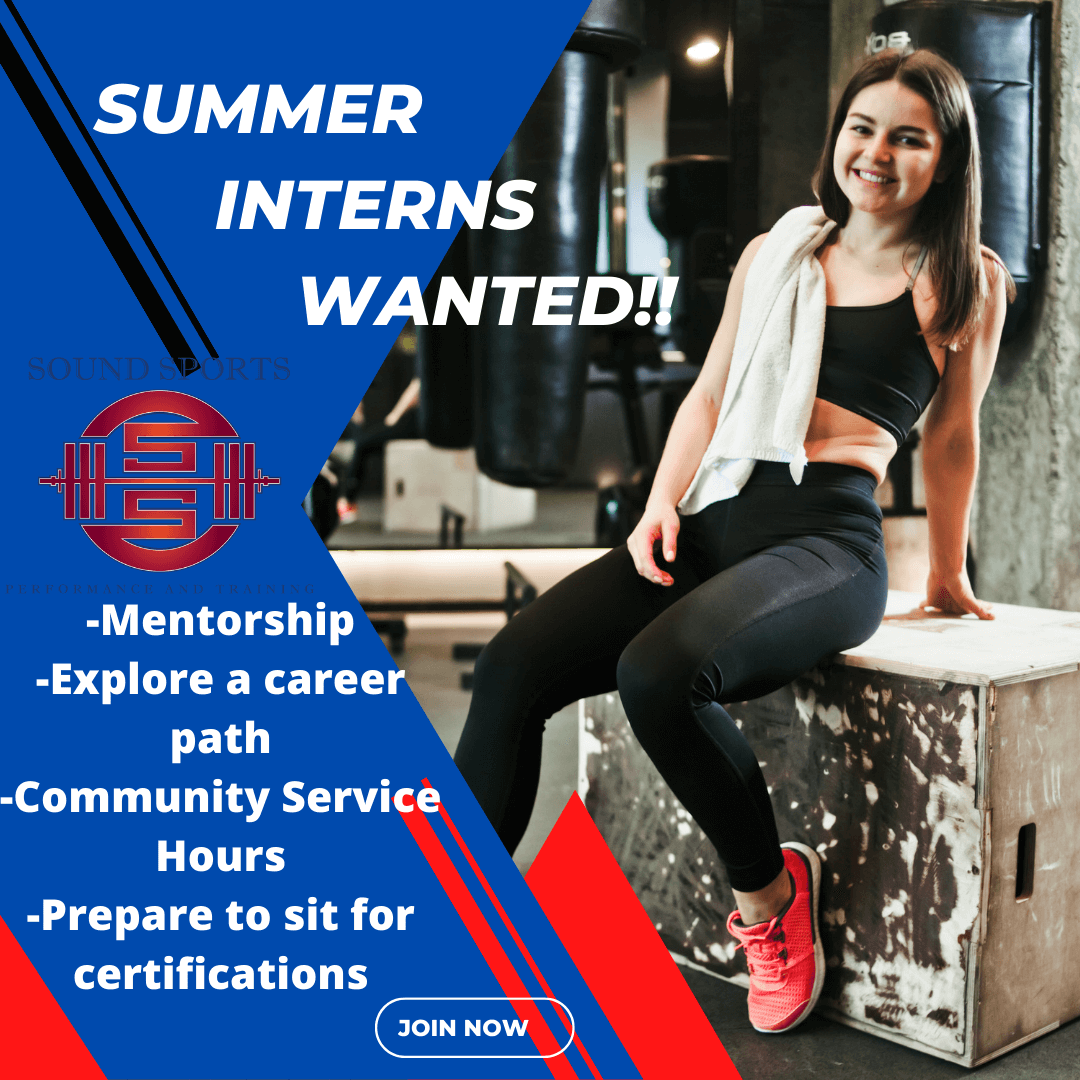 Summer Interns