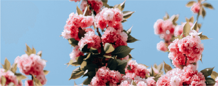 March-spring