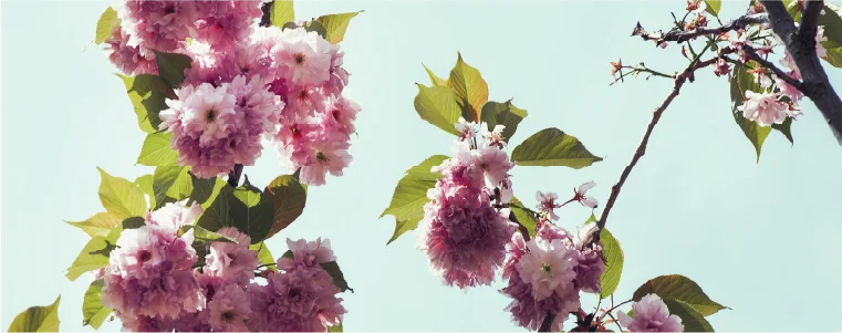 March-Newsletter